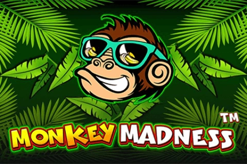 Monkey Madness Pragmatic